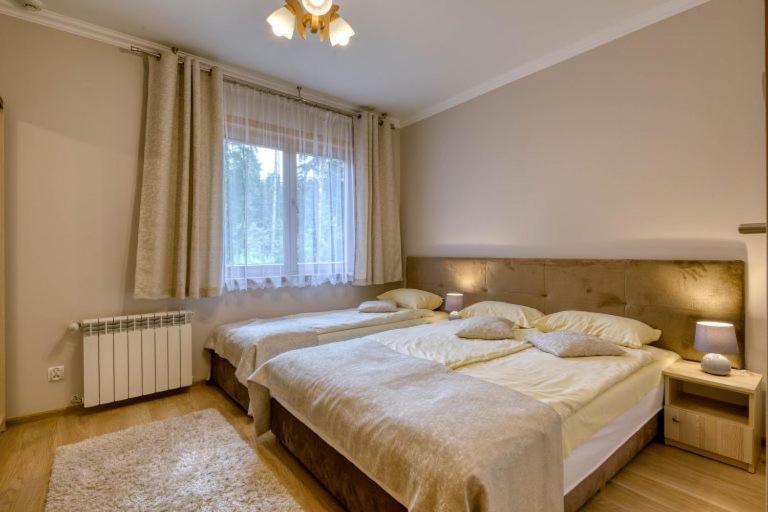 Pokoje Goscinne Dawidek Zakopane Exterior foto